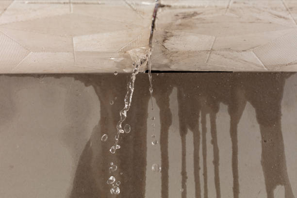 Professional Water Damage Repair technician working in Mossyrock, WA